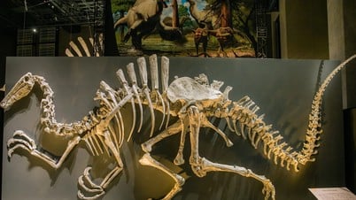 Dinosaurus yang Pernah Kuasai Asia Tenggara Ditemukan, Begini Wujudnya