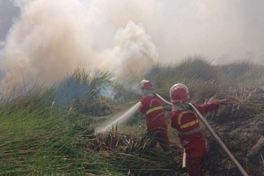 107.465 Hektare Hutan dan Lahan Ludes Terbakar Sepanjang 2026